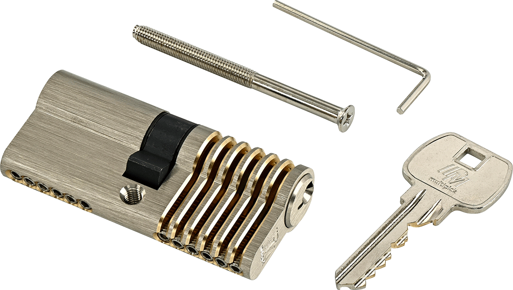 6-pin Euro profile training lock set