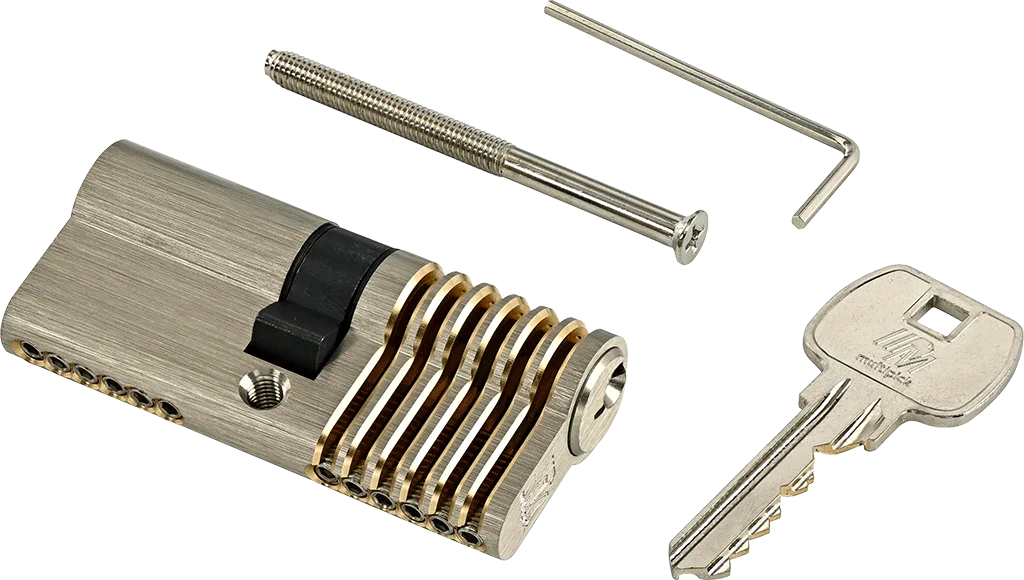 6-pin Euro profile training lock set