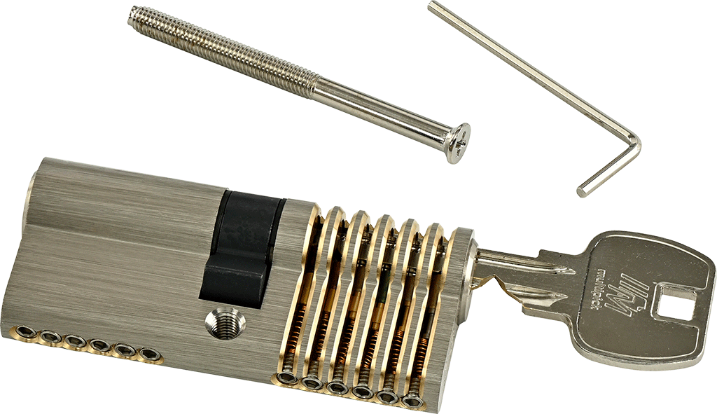 6-pin Euro profile training lock set